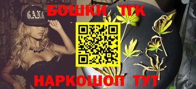 МДПВ Обь