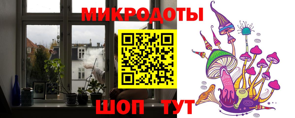 Тамбов  Псилоцибиновые грибы MAGIC MUSHROOMS  Вход с VPN 