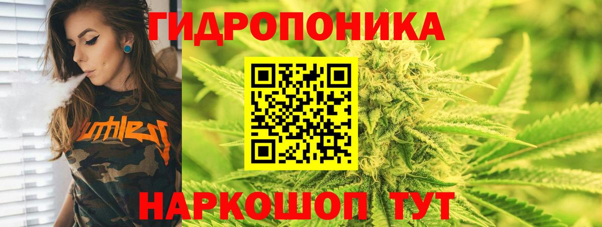 Конопля планчик  Конопля конопля  Тамбов  Вход с VPN  Бошки марихуана OG Kush 
